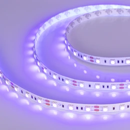 Фото #1 товара Светодиодная лента RT-B60-10mm 12V UV400 (14.4 W/m, IP20, 5060, 5m) (Arlight, Открытый)