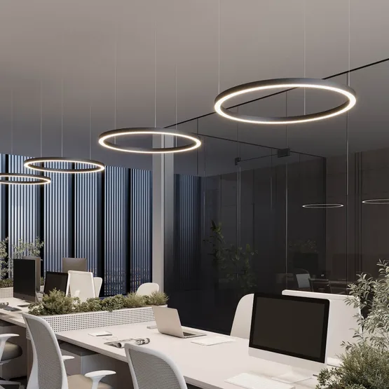 Фото #2 товара Светильник SP-CIRCLE-HANG-O3535-D500-30W Warm3000 (RAL9005, 120 deg, 230V) IP40 LED (Arlight, Алюминий)