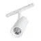 Минифото #4 товара Светильник MAG-ORIENT-SPOT-ZOOM-R65-15W Warm3000 (WH, 34-60 deg, 48V, DALI) (Arlight, IP20 Металл, 5 лет)