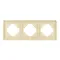 Минифото #2 товара Рамка алюминиевая FRM-AKIRY-AL-3-GD (Arlight, -)